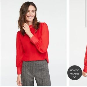 Valentine’s top! Ann Taylor Media Sheer Sl…